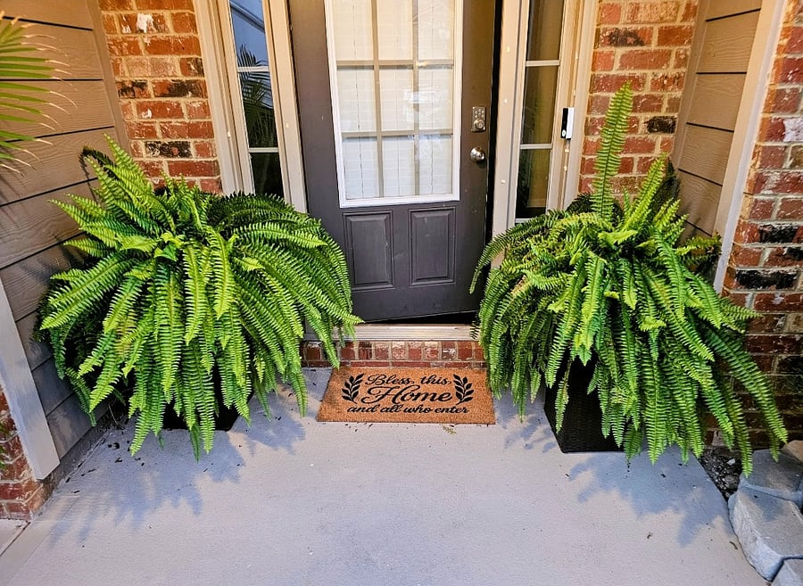 Furnished Finder property 1049342_1 photo 24