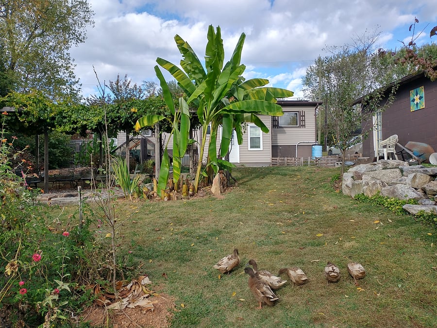 Furnished Finder property 1049375_1 photo 12
