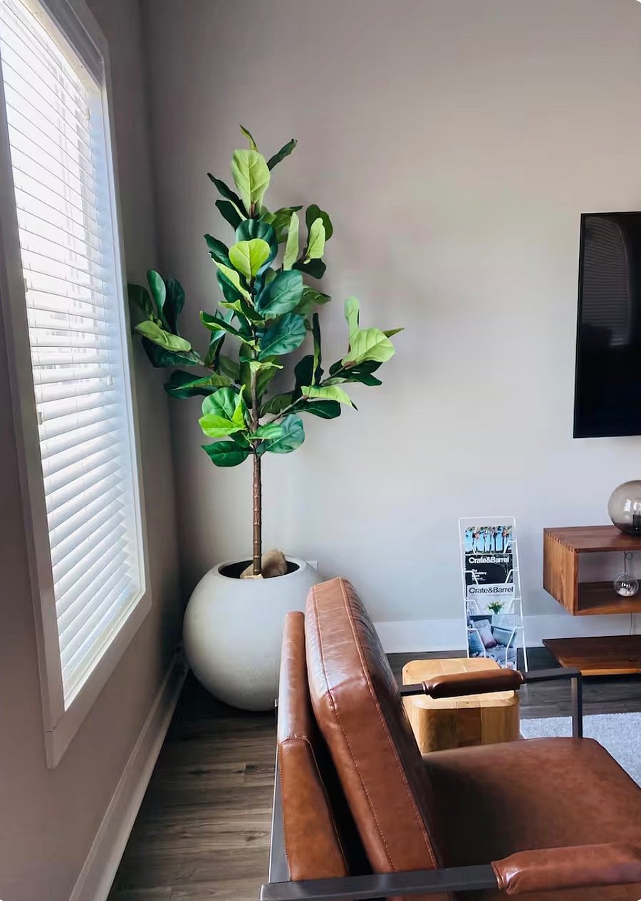 More Living room