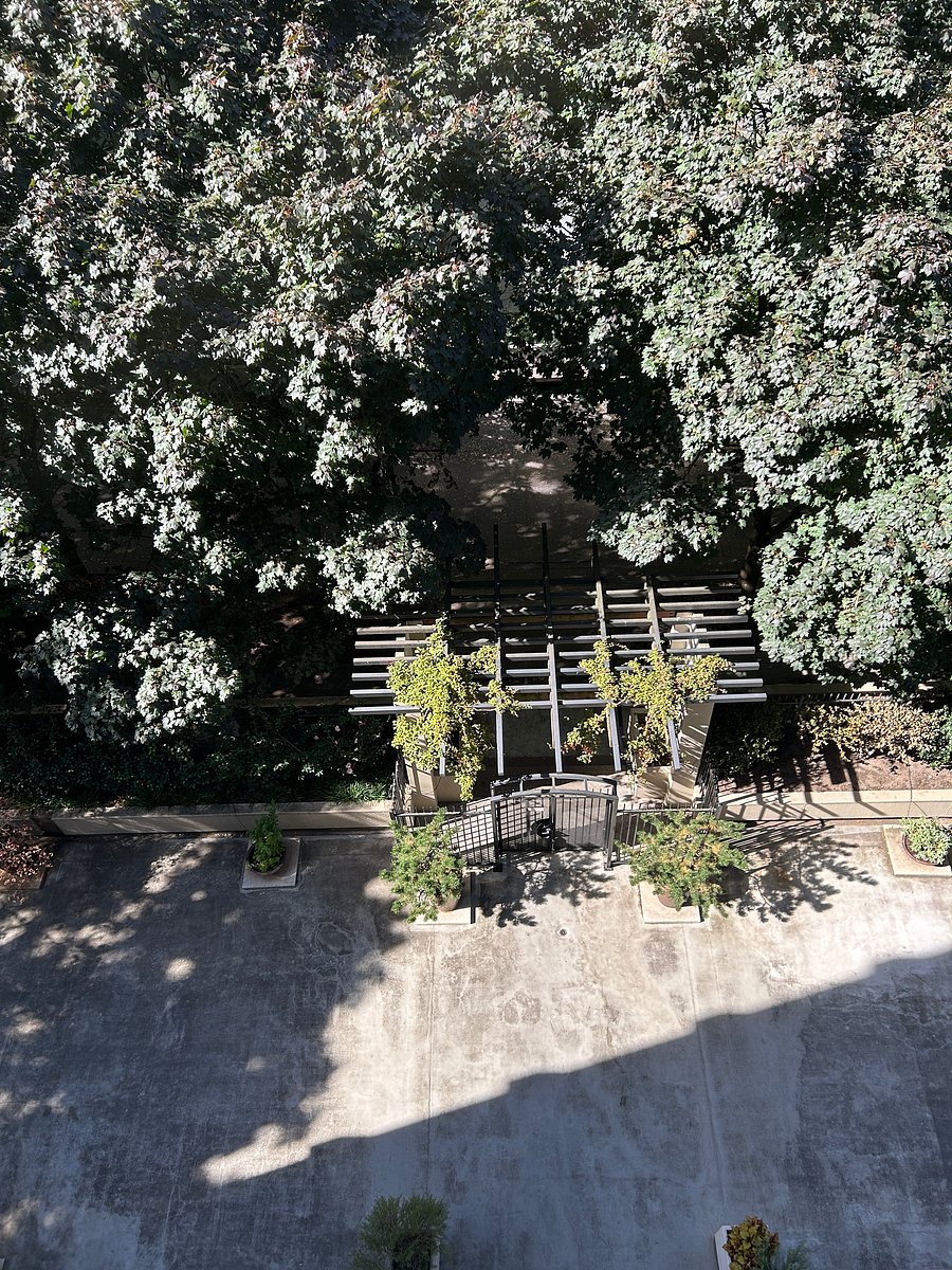 Furnished Finder property 1049471_1 photo 10