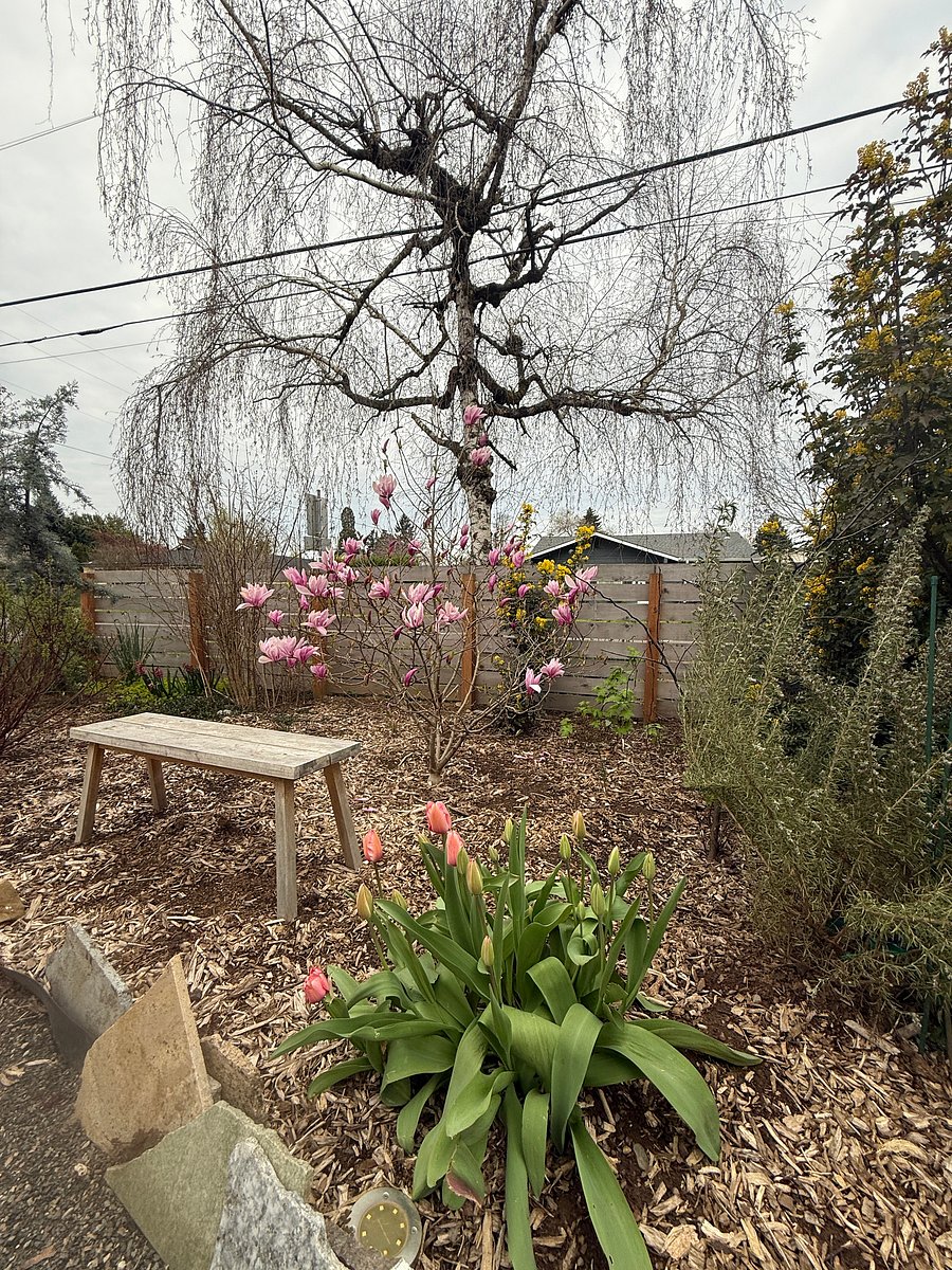 Front garden space.