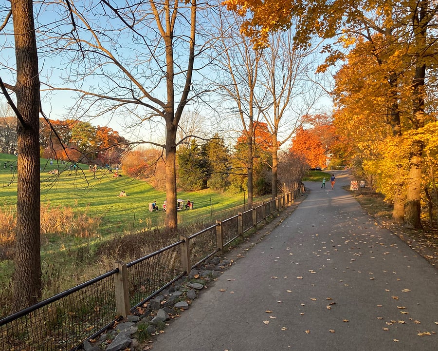 Fresh pond trails (5 minutes walk)