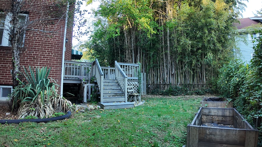 Furnished Finder property 1049538_1 photo 4