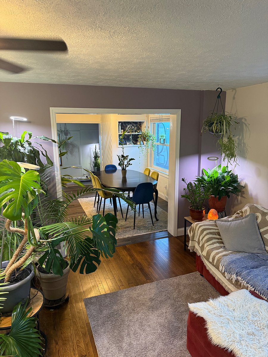 Furnished Finder property 1049604_1 photo 5