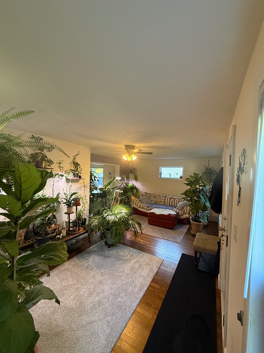 Furnished Finder property 1049604_1 photo 10