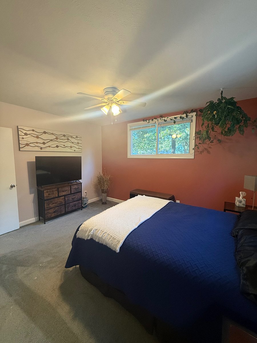 Furnished Finder property 1049604_1 photo 13