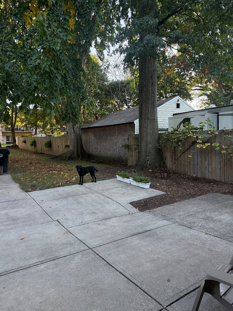 Furnished Finder property 1049604_1 photo 19