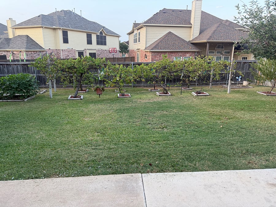 Furnished Finder property 1049618_1 photo 41
