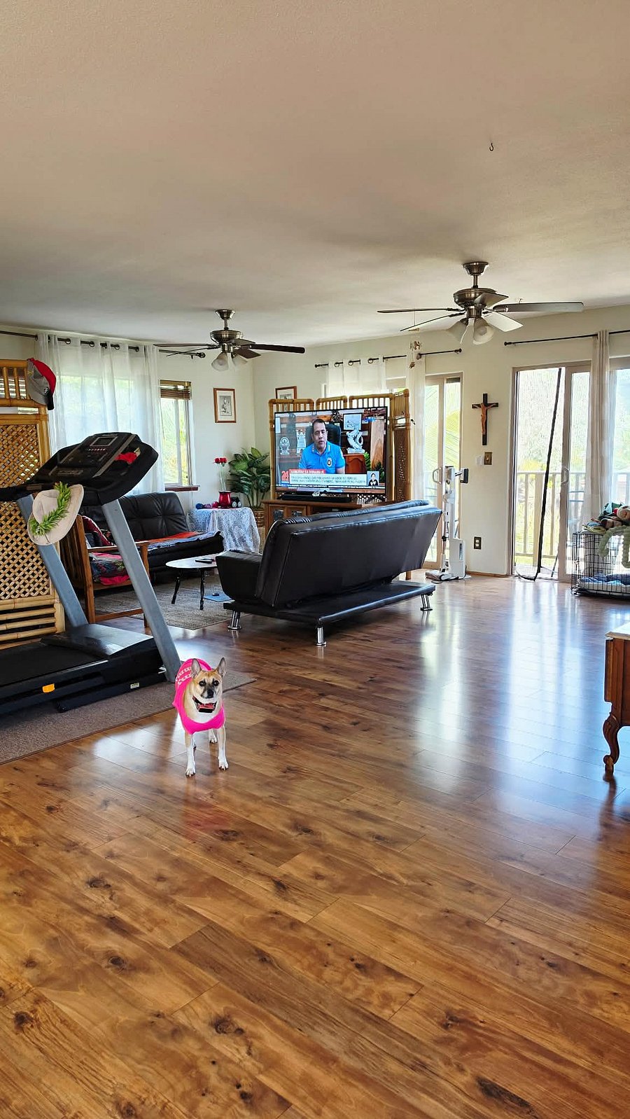 Furnished Finder property 1049634_1 photo 12