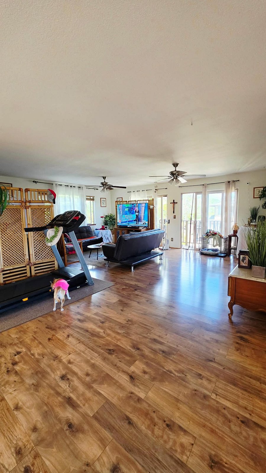 Furnished Finder property 1049634_1 photo 13