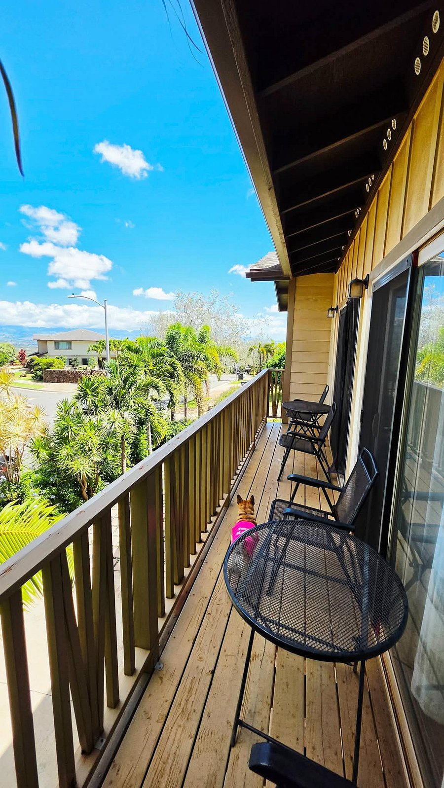 Furnished Finder property 1049634_1 photo 14