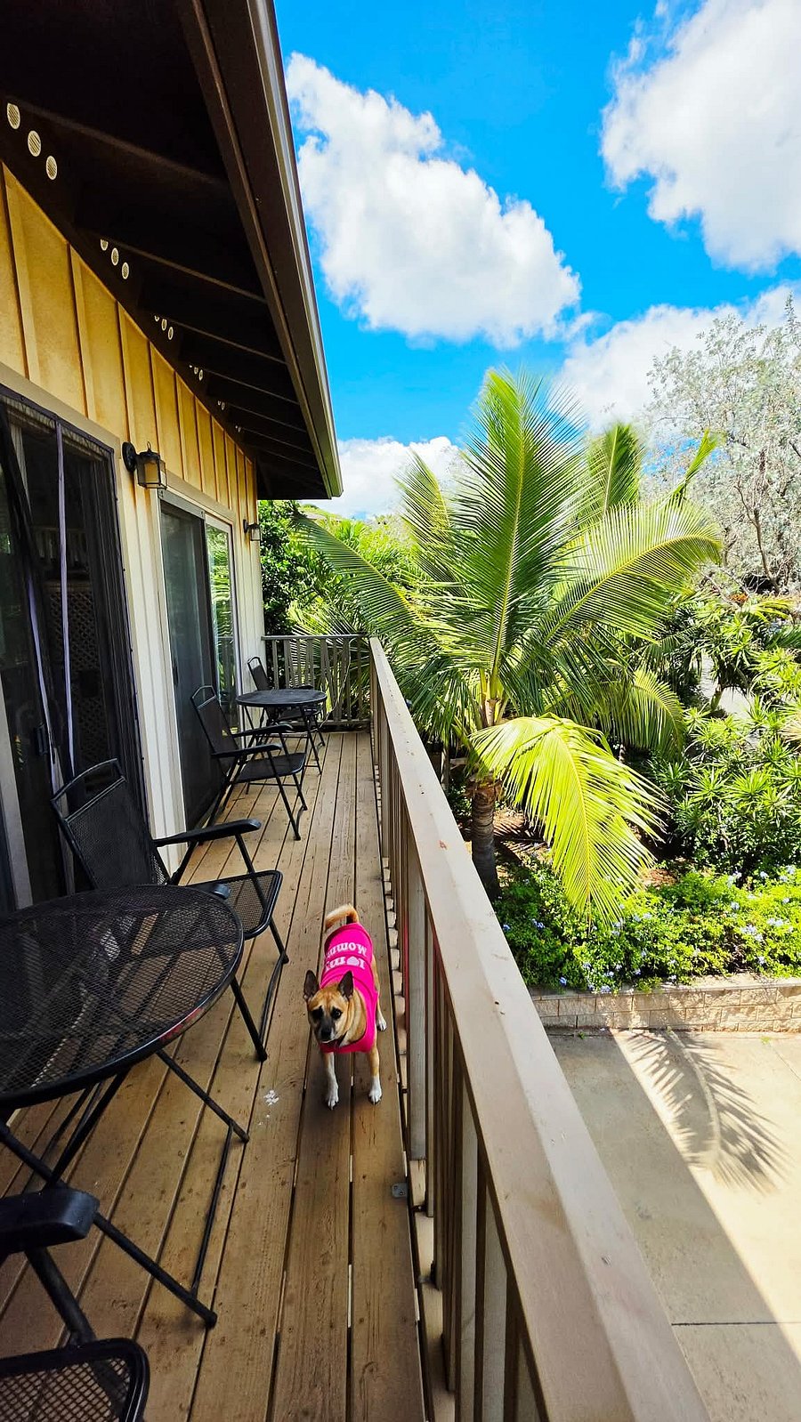 Furnished Finder property 1049634_1 photo 15