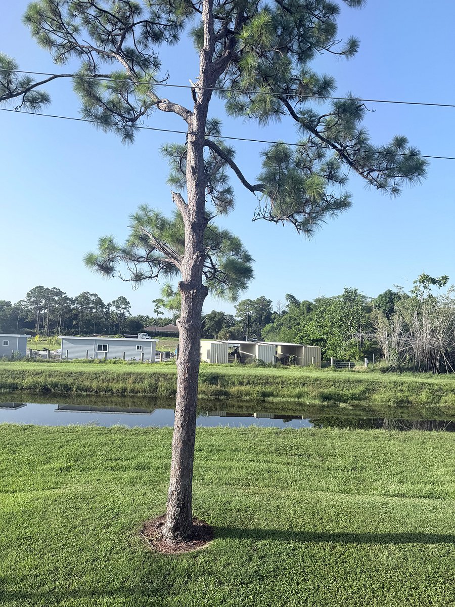 Furnished Finder property 1049710_1 photo 28
