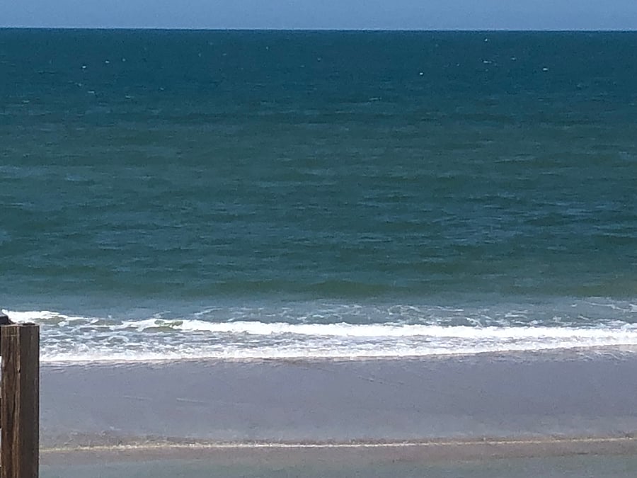 PLAY-A-LINDA BEACH,
NEED I SAY MORE?
YOU HAVE TO EXPLORE ...NATURE AT THE ATLANTIC, THERE IS NO OTHER PLACE ON EARTH LIKE THE SPACE COAST SHORE! WILD LIFE CENTER, TRAILS WALK OR DRIVE, GREAT SHORE FISHING!