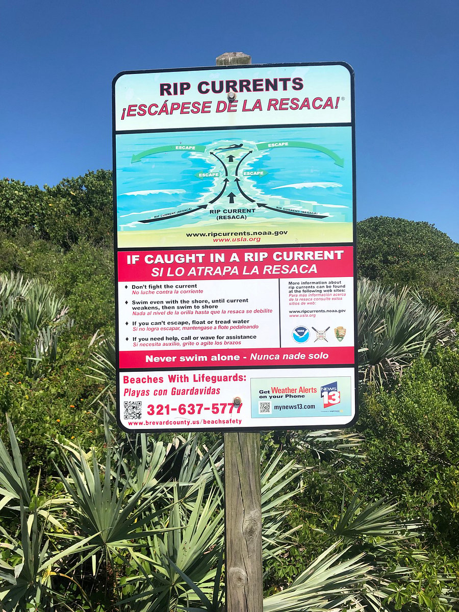 SAFETY FIRST....
KNOW YOUR NATURAL
SURROUNDINGS...
KEEP AND EYE OUT FOR WILDLIFE ON LAND AND SEA! ESPECIALLY DURING TURTLE NESTING SEASON.
