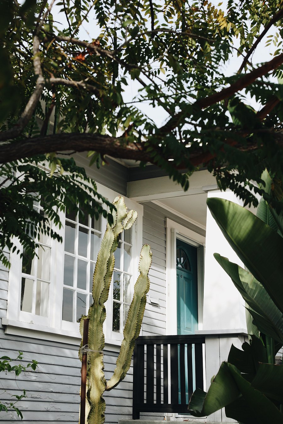 Turquoise front door and tropical landscaping.