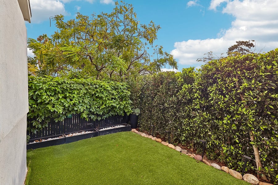 Newly installed turf backyard with our passionfruit vines.