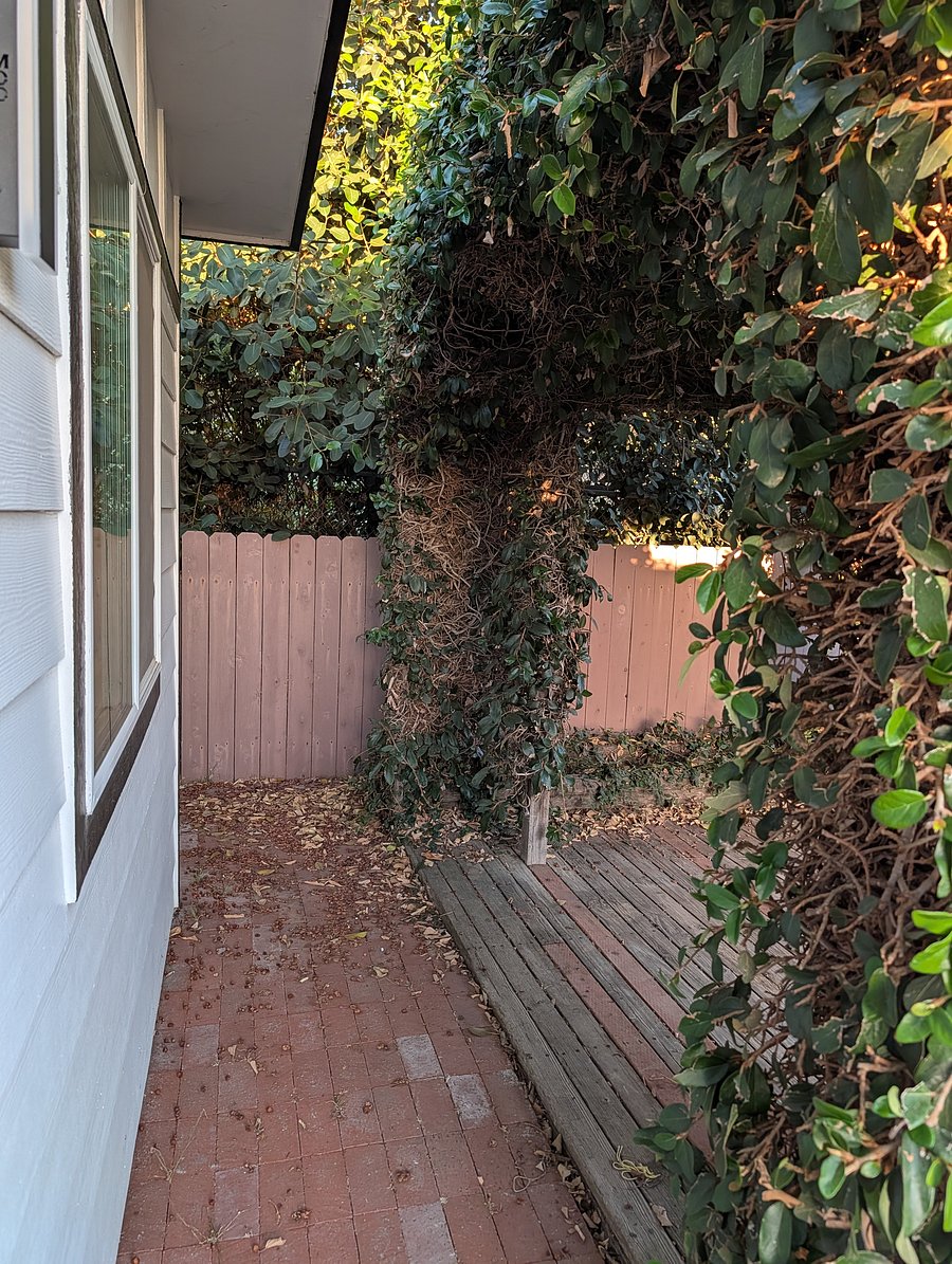 Side of house and gazebo