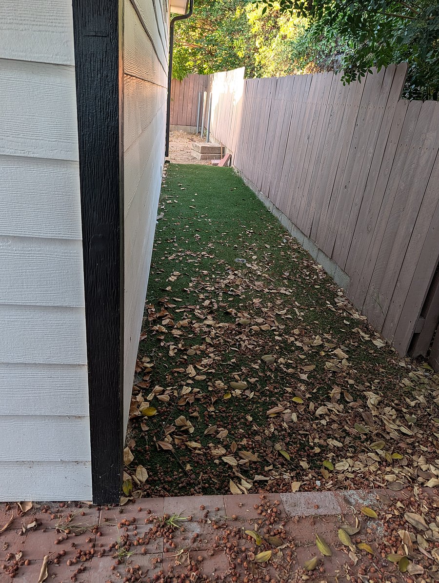 Dog run
