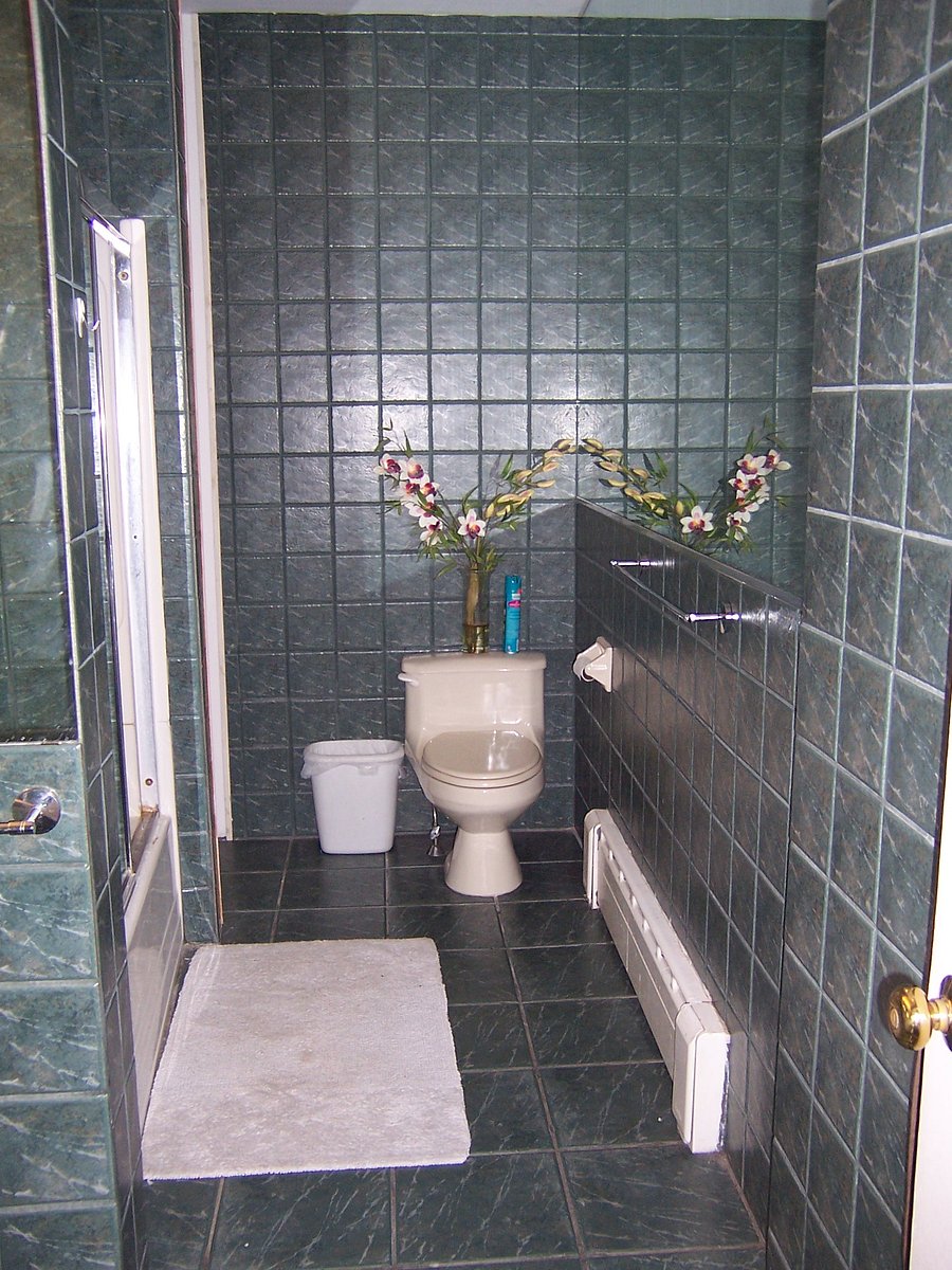 Furnished Finder property 1050453_1 photo 12