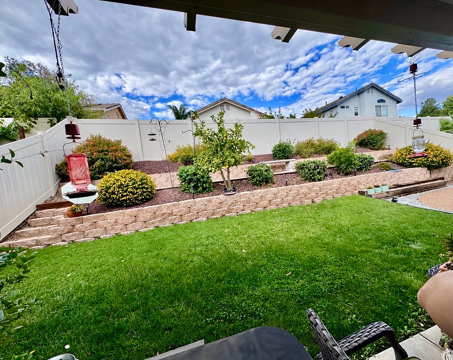 Backyard is fully fenced and gated, great for kids and pets w mature lemon tree