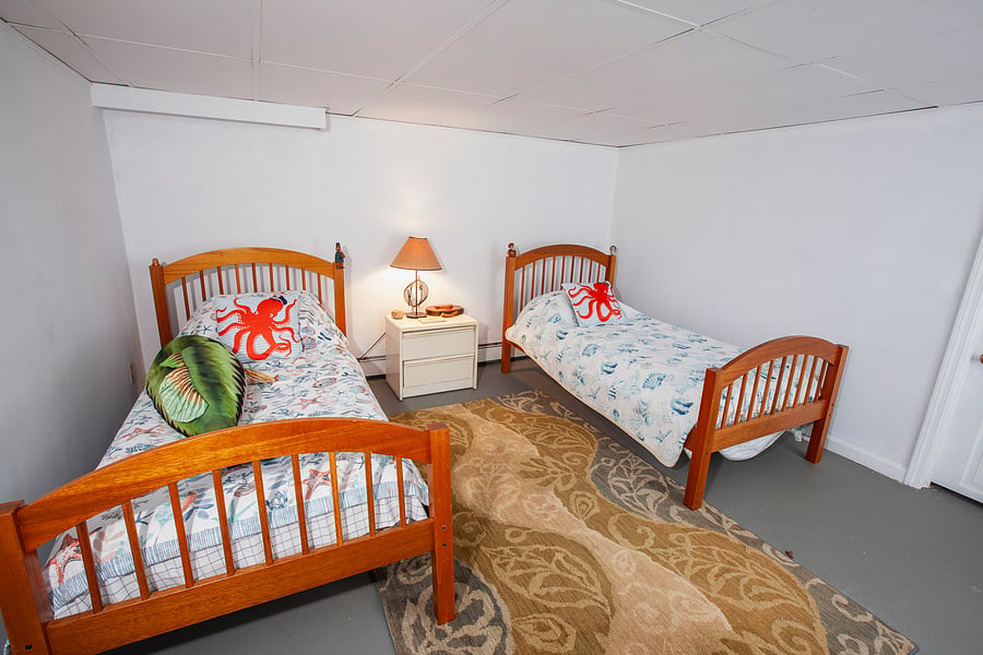 Fourth bedroom in basement. Twin beds