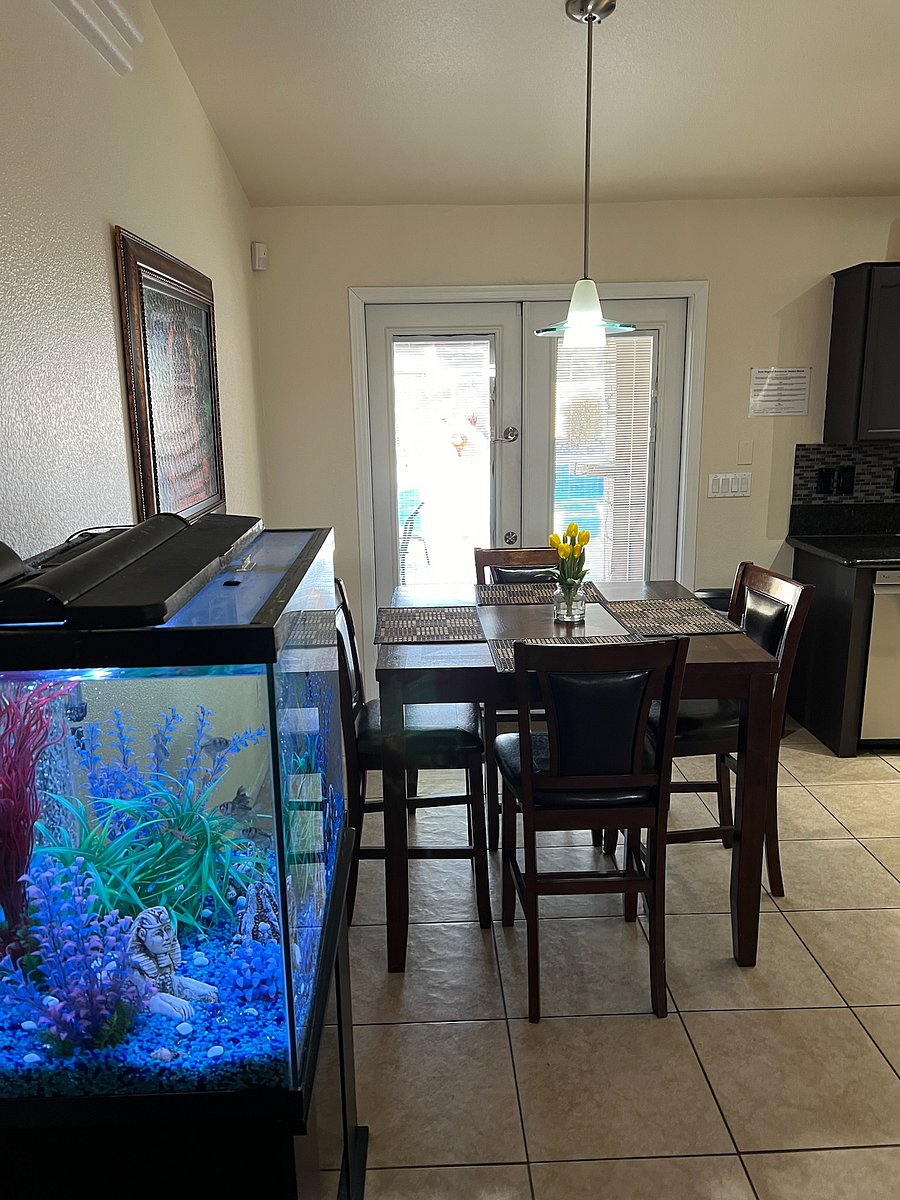 Furnished Finder property 1050855_1 photo 15