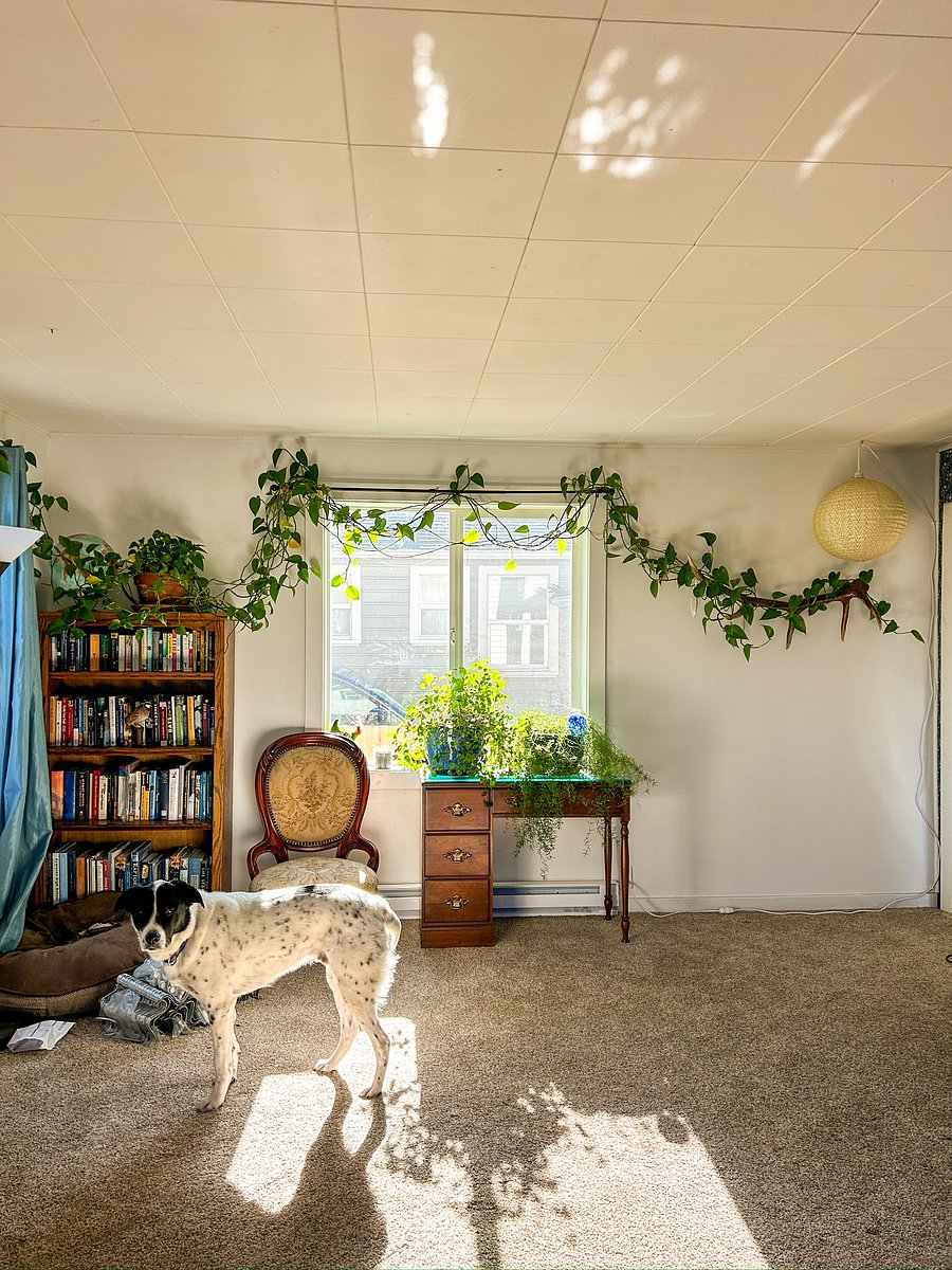 Furnished Finder property 1051023_1 photo 1