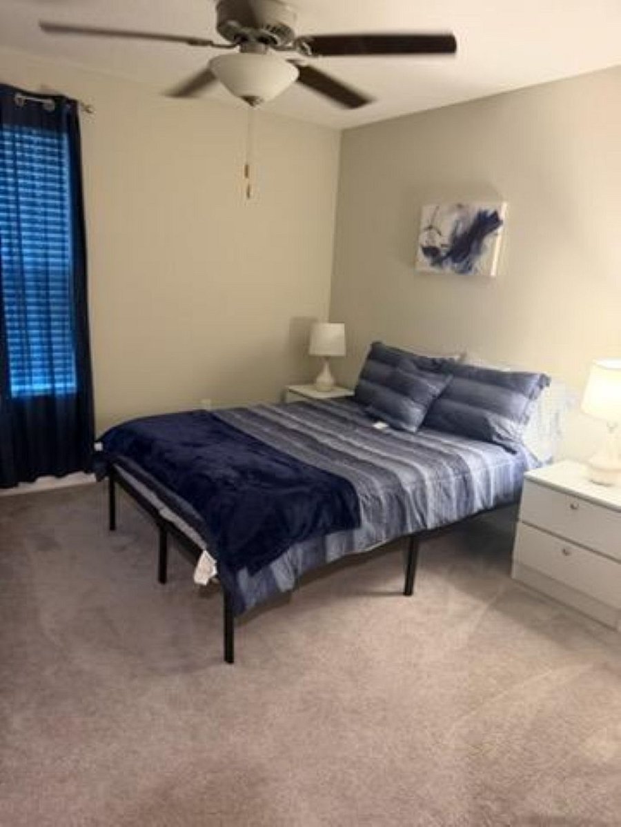 Furnished Finder property 1051288_1 photo 5