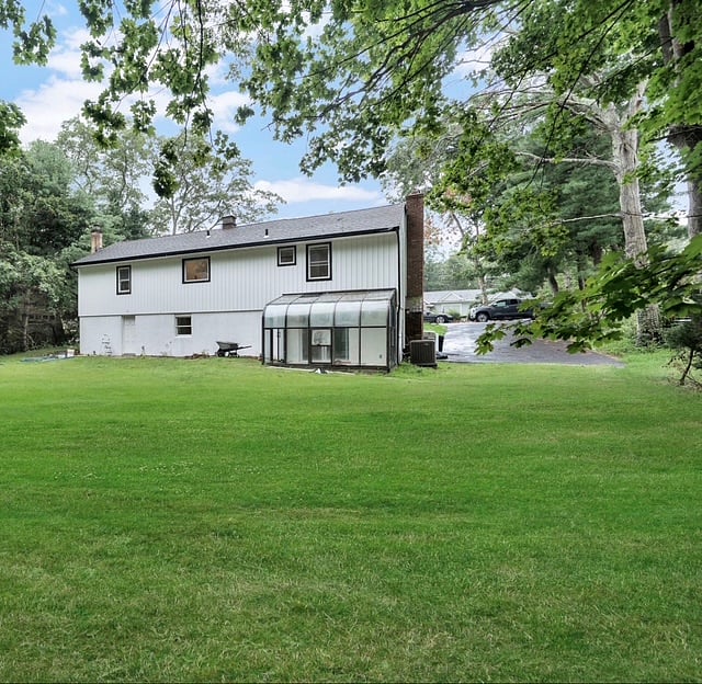 Backyard view