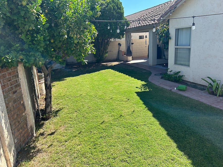 Fully enclosed back yard for dogs!