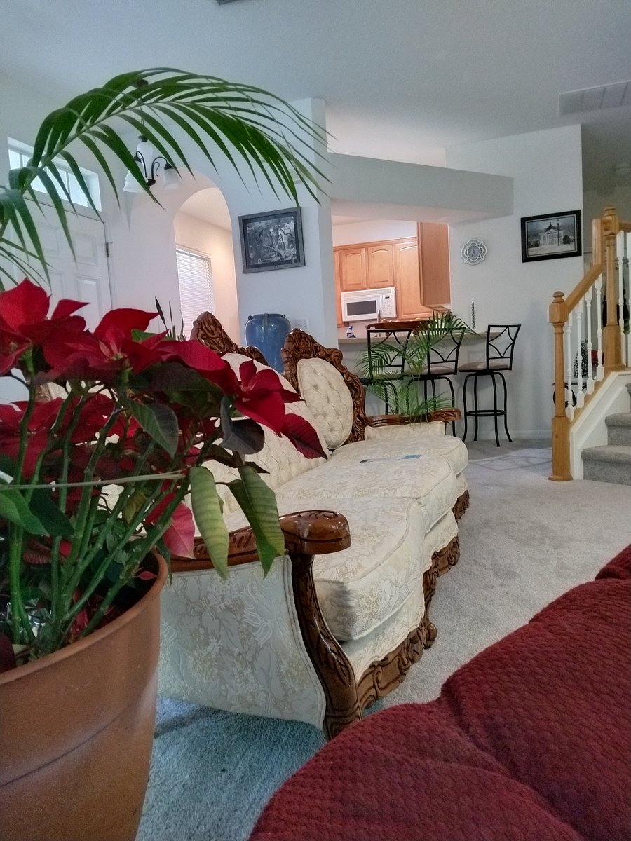 Furnished Finder property 1051467_1 photo 8