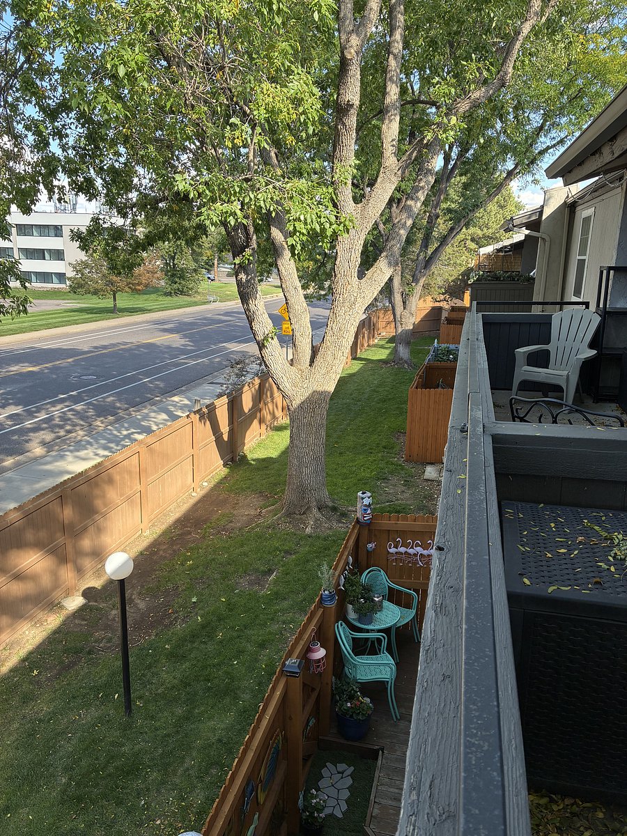 View from back balcony.