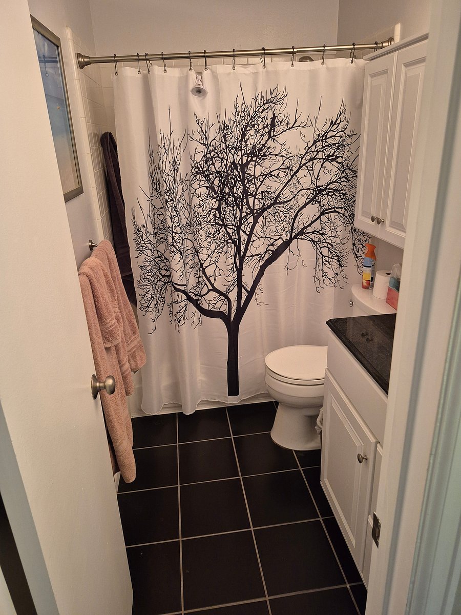 Bathroom shower.