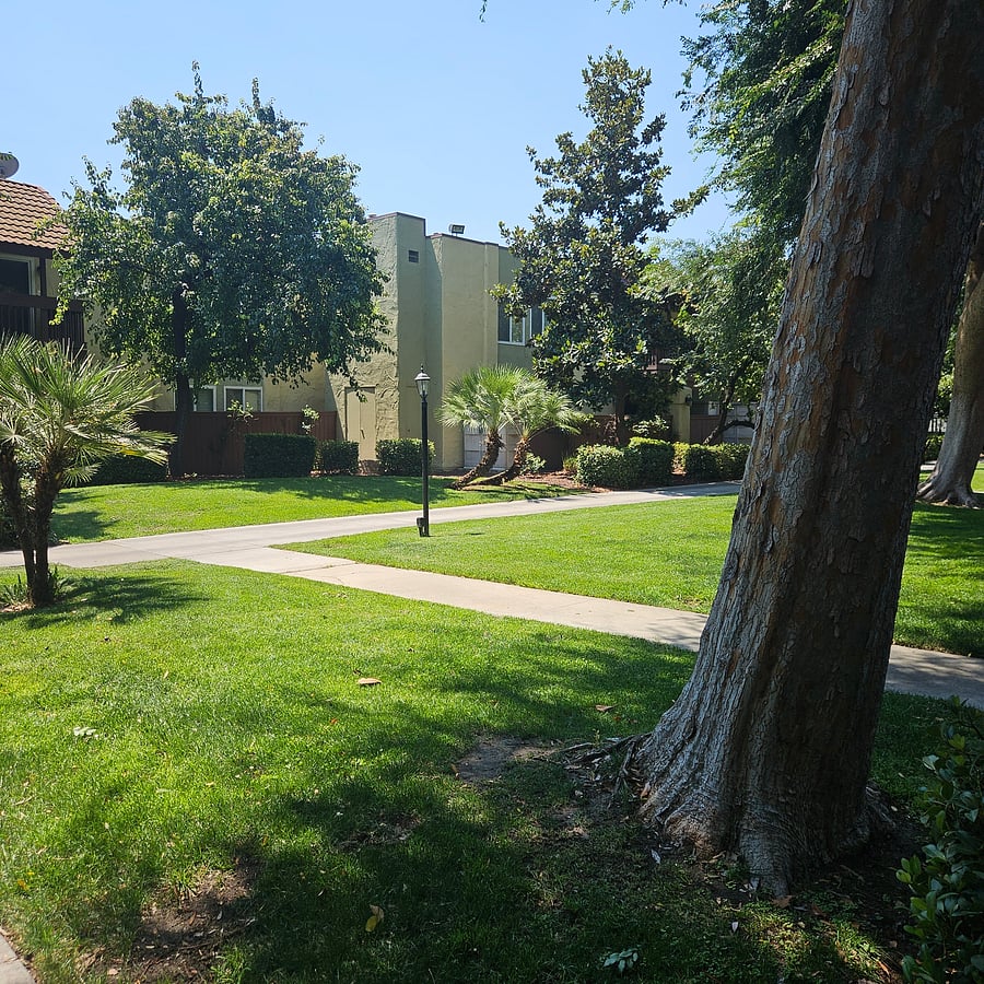 Furnished Finder property 1051660_1 photo 9