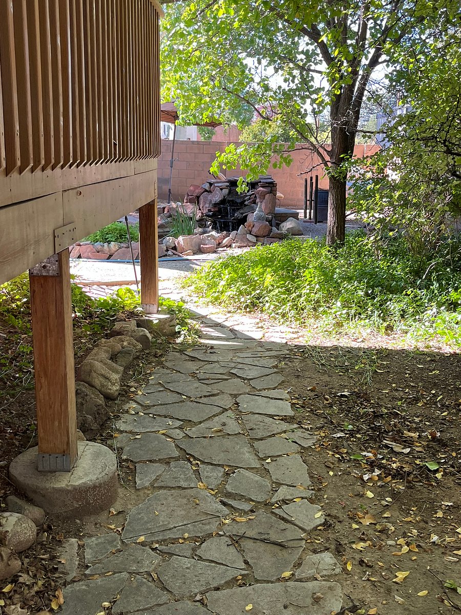 Walkway under stone fruit trees to the backyard.