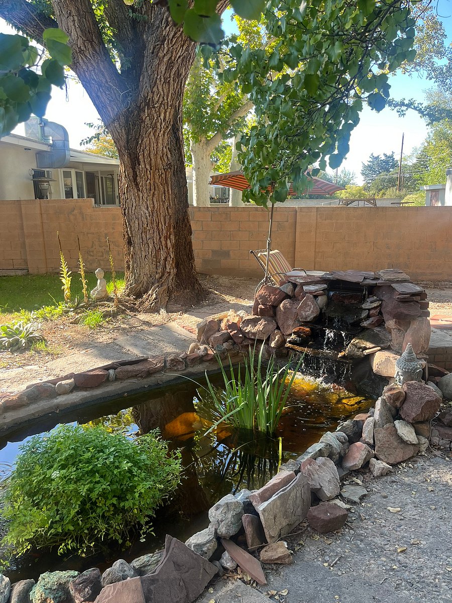 Zen fishpond and fountain.