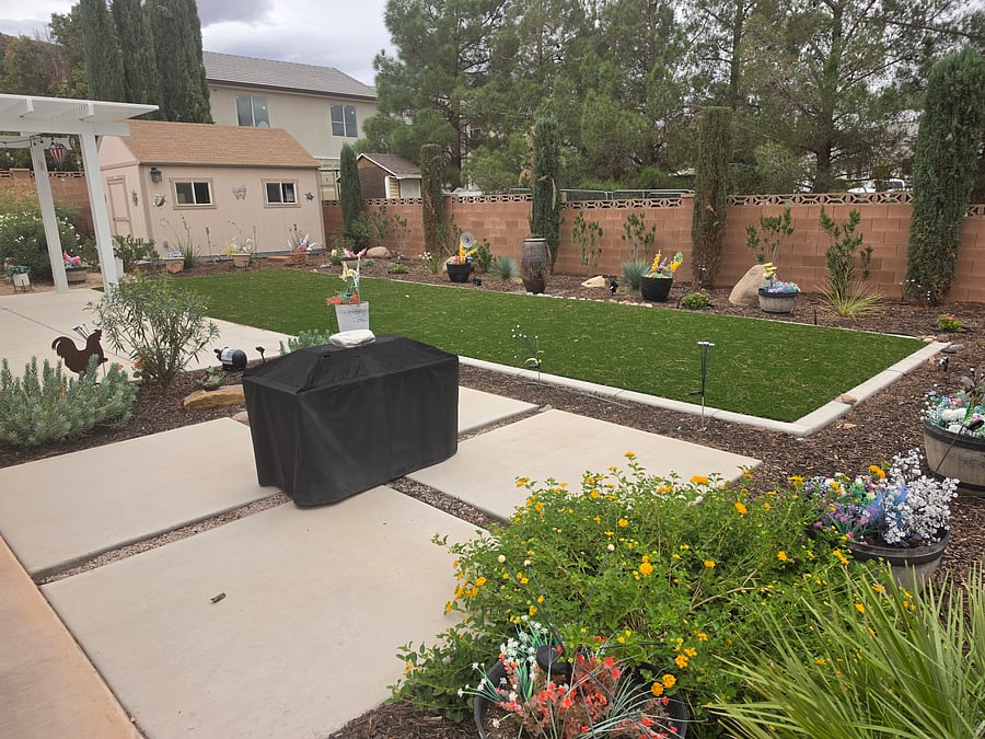 Backyard