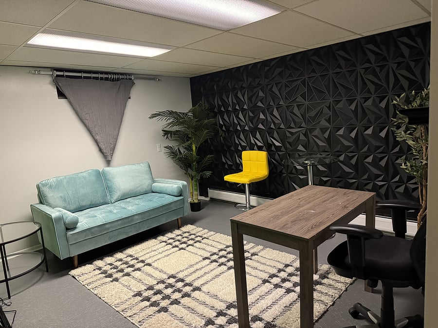 Podcast or Basement Room Photo #2
