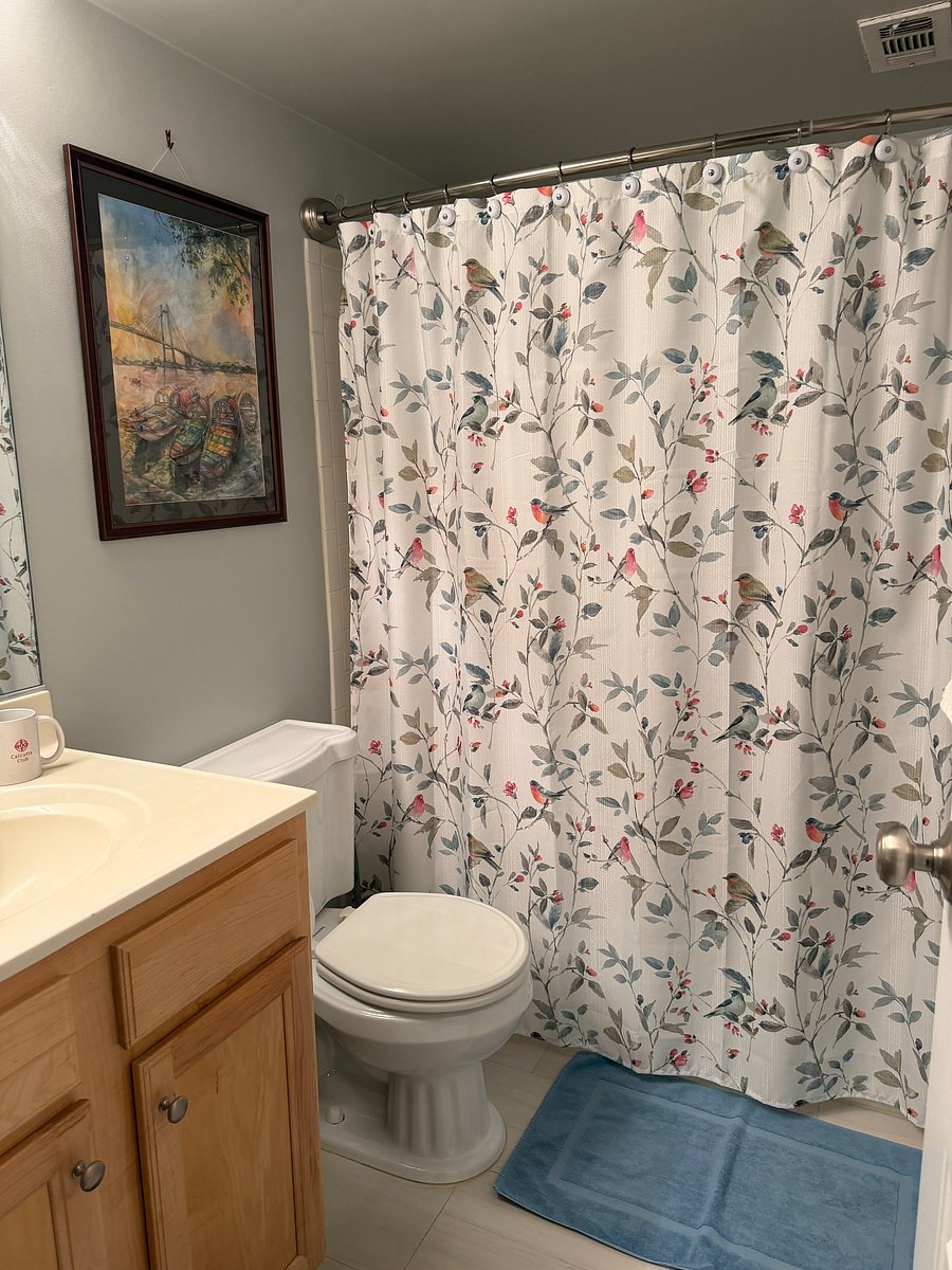 Furnished Finder property 1052126_1 photo 6
