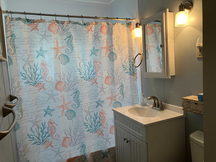 Hall bathroom with shower/tub combination.