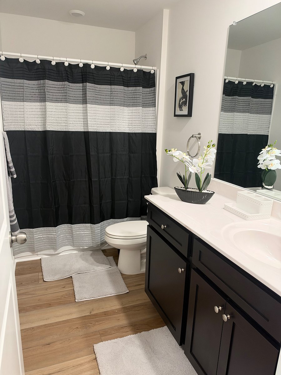 Furnished Finder property 1052164_1 photo 11