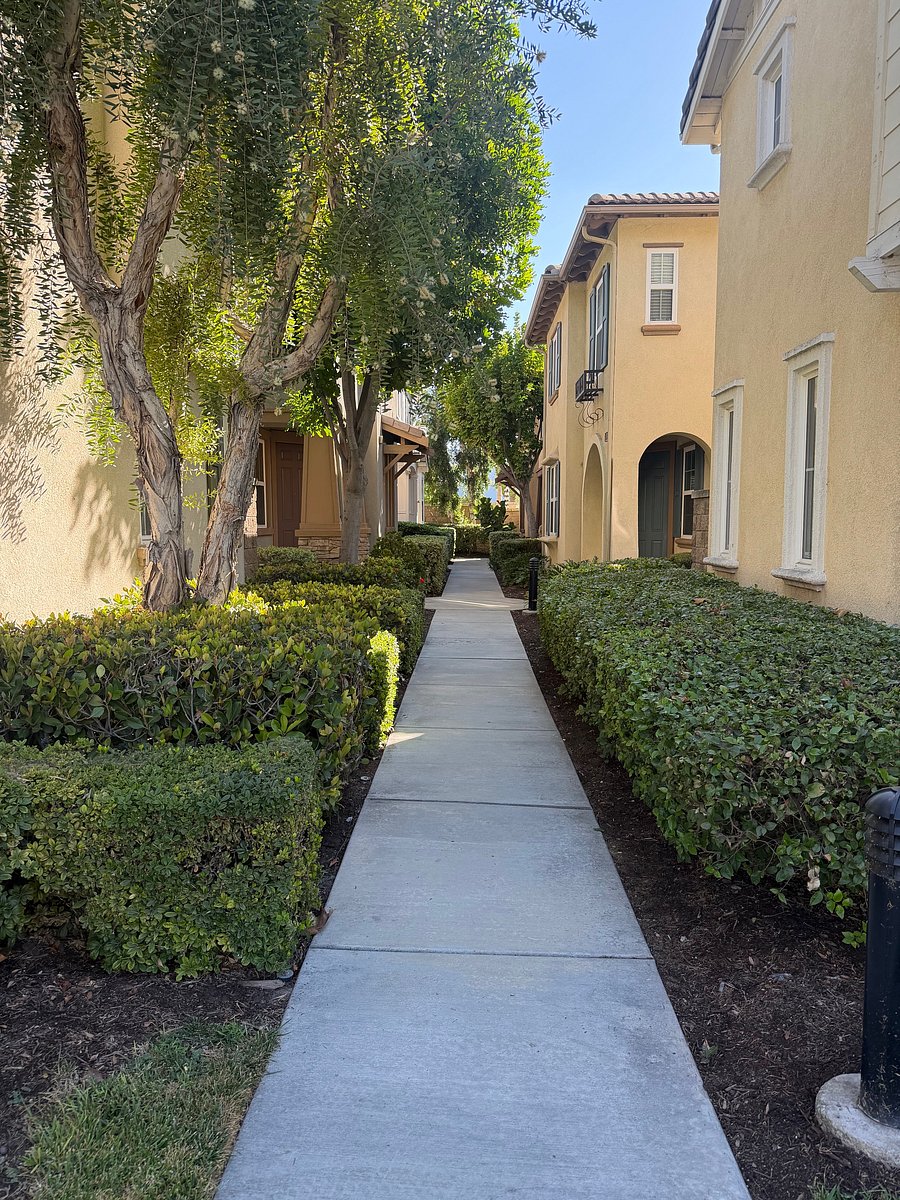 Furnished Finder property 1052361_1 photo 27