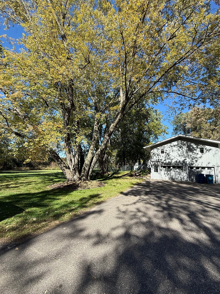Furnished Finder property 1052395_1 photo 9