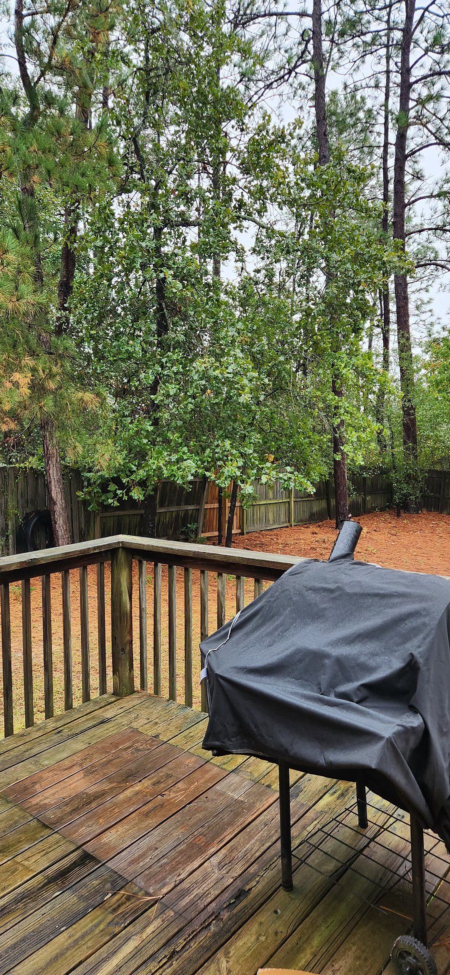 Furnished Finder property 1052662_1 photo 12