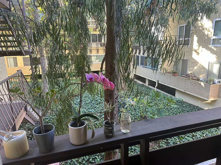 Furnished Finder property 1052798_1 photo 7