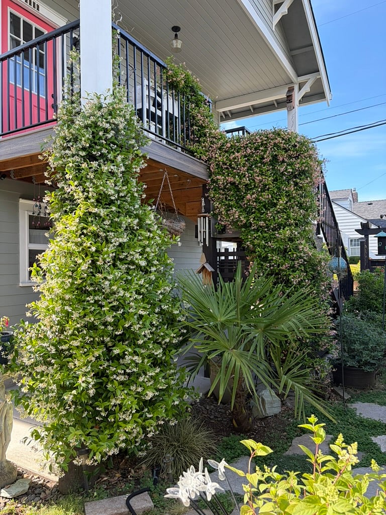 Furnished Finder property 1052886_1 photo 22
