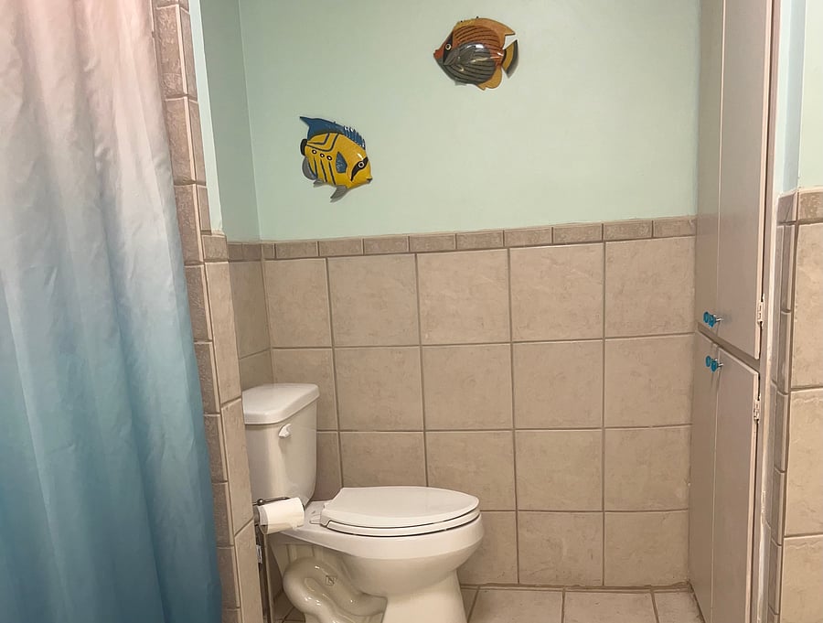 Furnished Finder property 1052972_1 photo 13