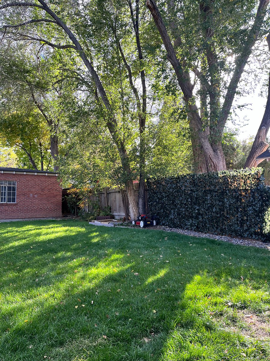 Furnished Finder property 1052973_1 photo 21