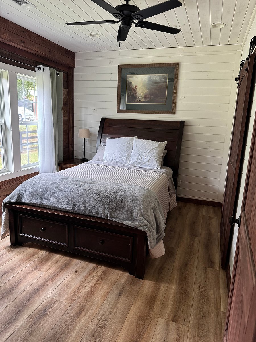 Furnished Finder property 1053072_1 photo 5